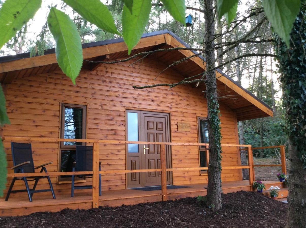 Butterfly Cabin Limerick Junction Eksteriør billede