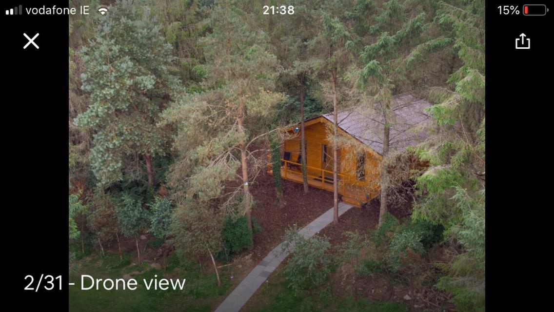 Butterfly Cabin Limerick Junction Eksteriør billede