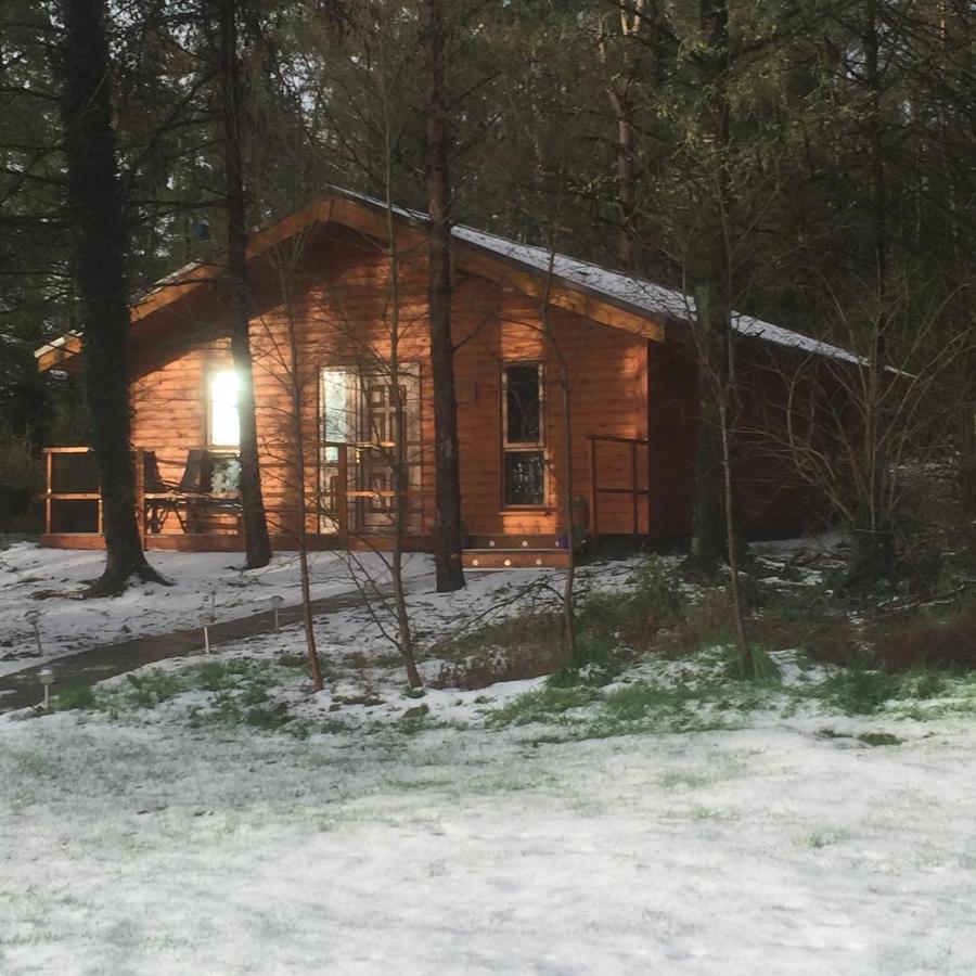 Butterfly Cabin Limerick Junction Eksteriør billede