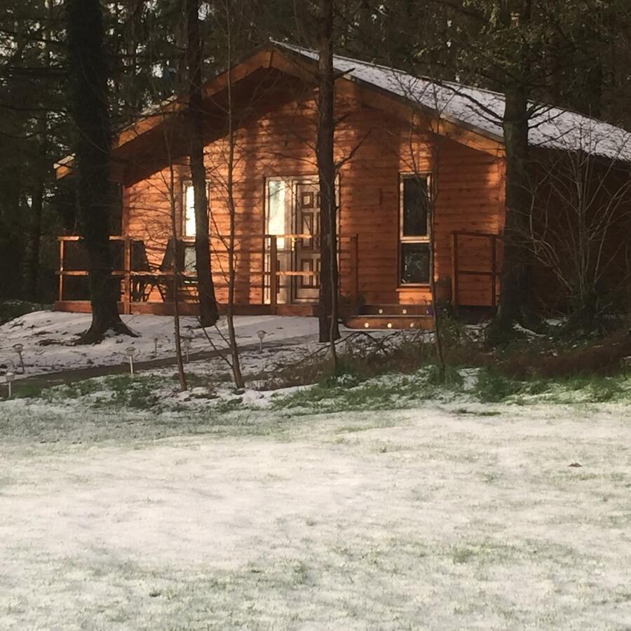 Butterfly Cabin Limerick Junction Eksteriør billede